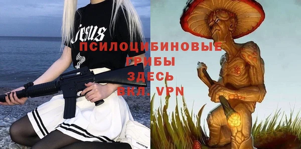 прущий лед Аркадак